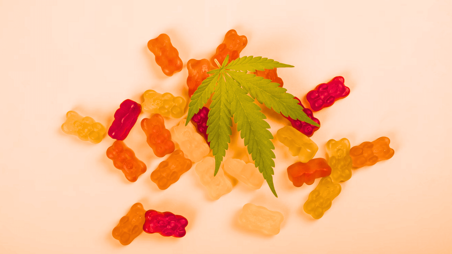 CBD Gummies and Drug Testing – What You Need to Know