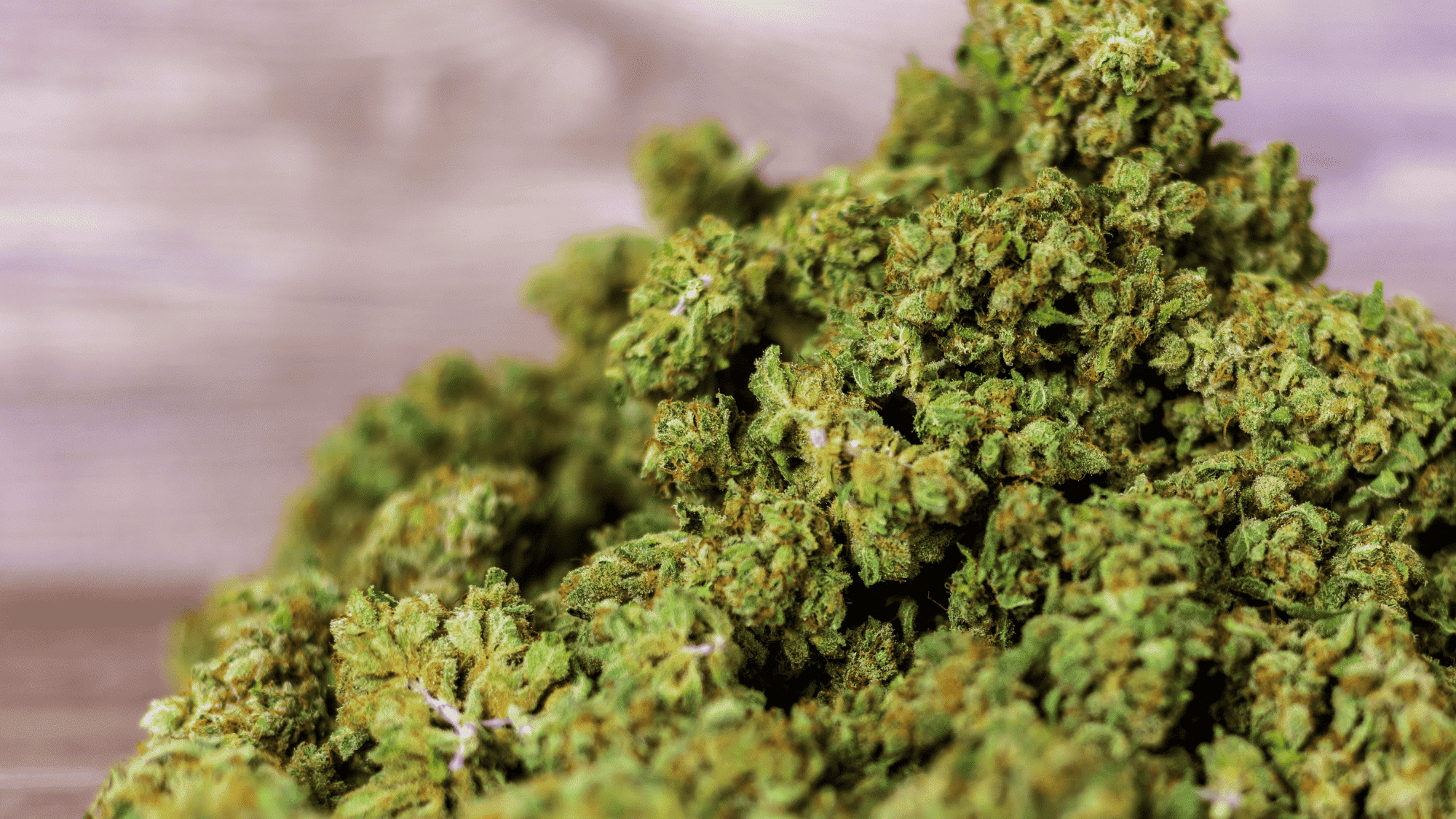 How Old to Buy CBD: 18 or 21 Rules Explained