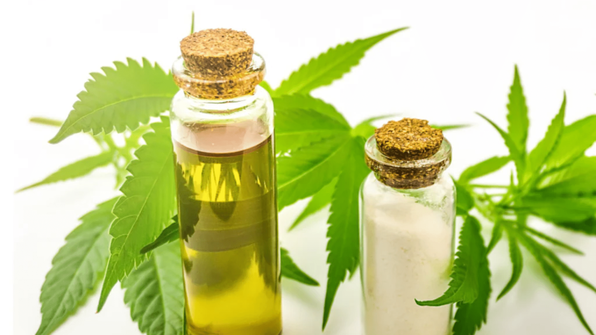 What to Choose: Full Spectrum vs Broad Spectrum CBD