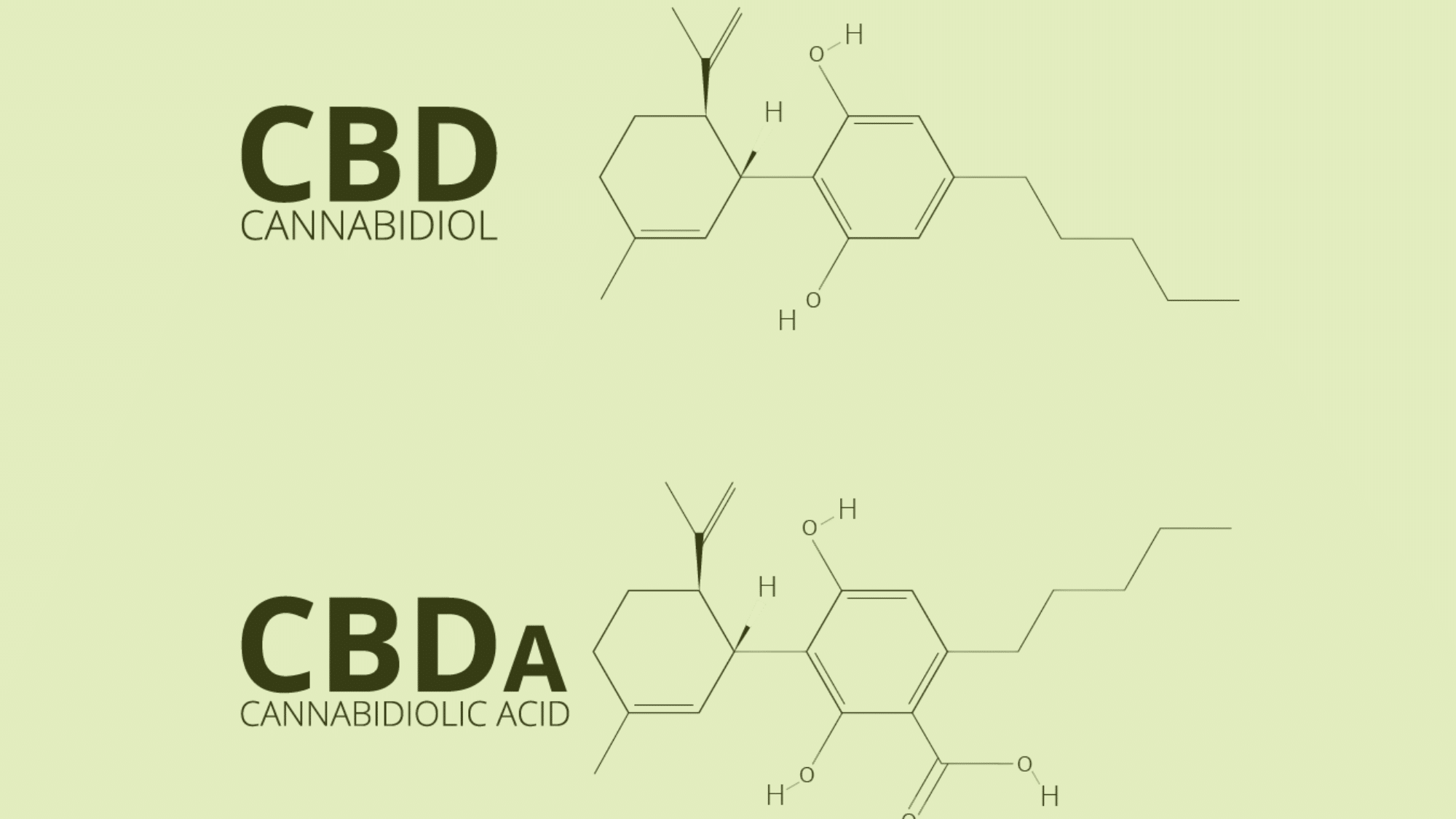 cbd-cbda-structure
