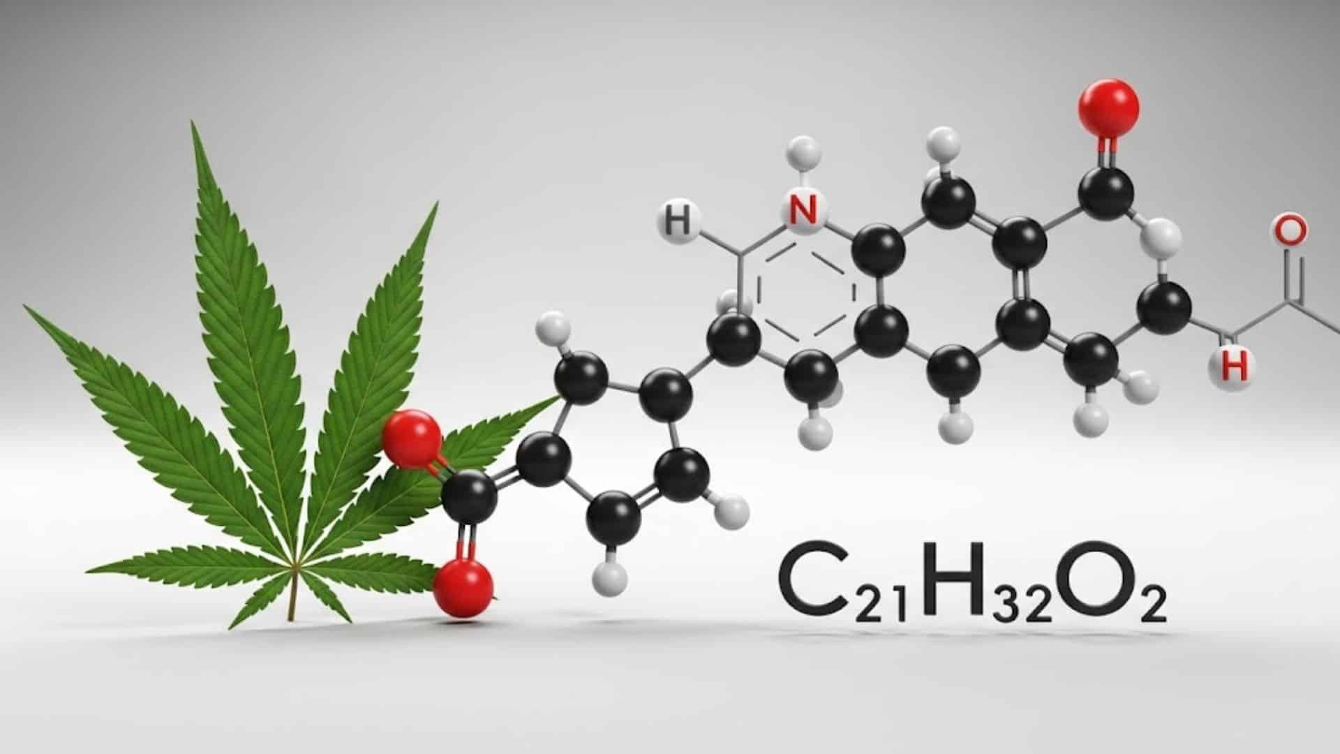 cbg-the-precursor-cannabinoid