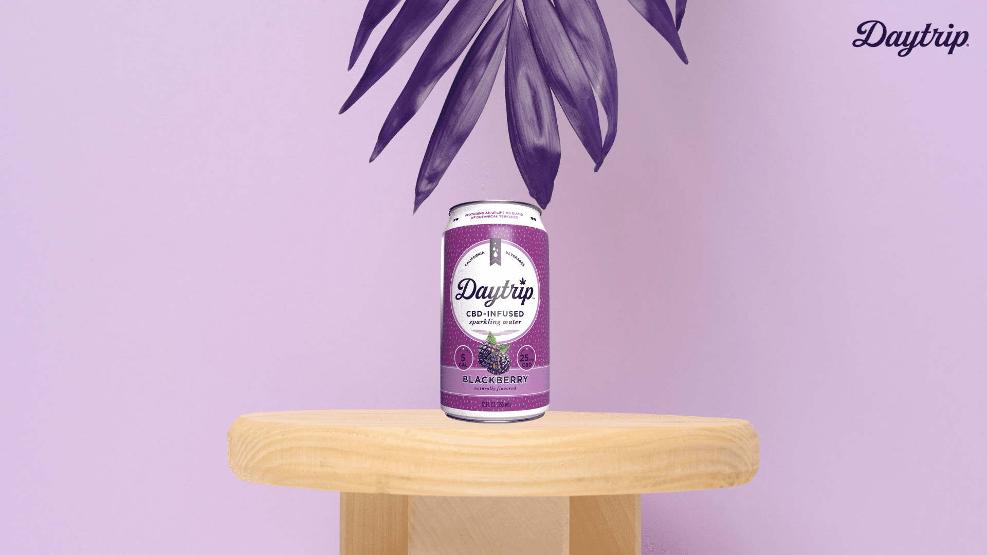 daytrip-cbd-infused-sparkling-water (1)