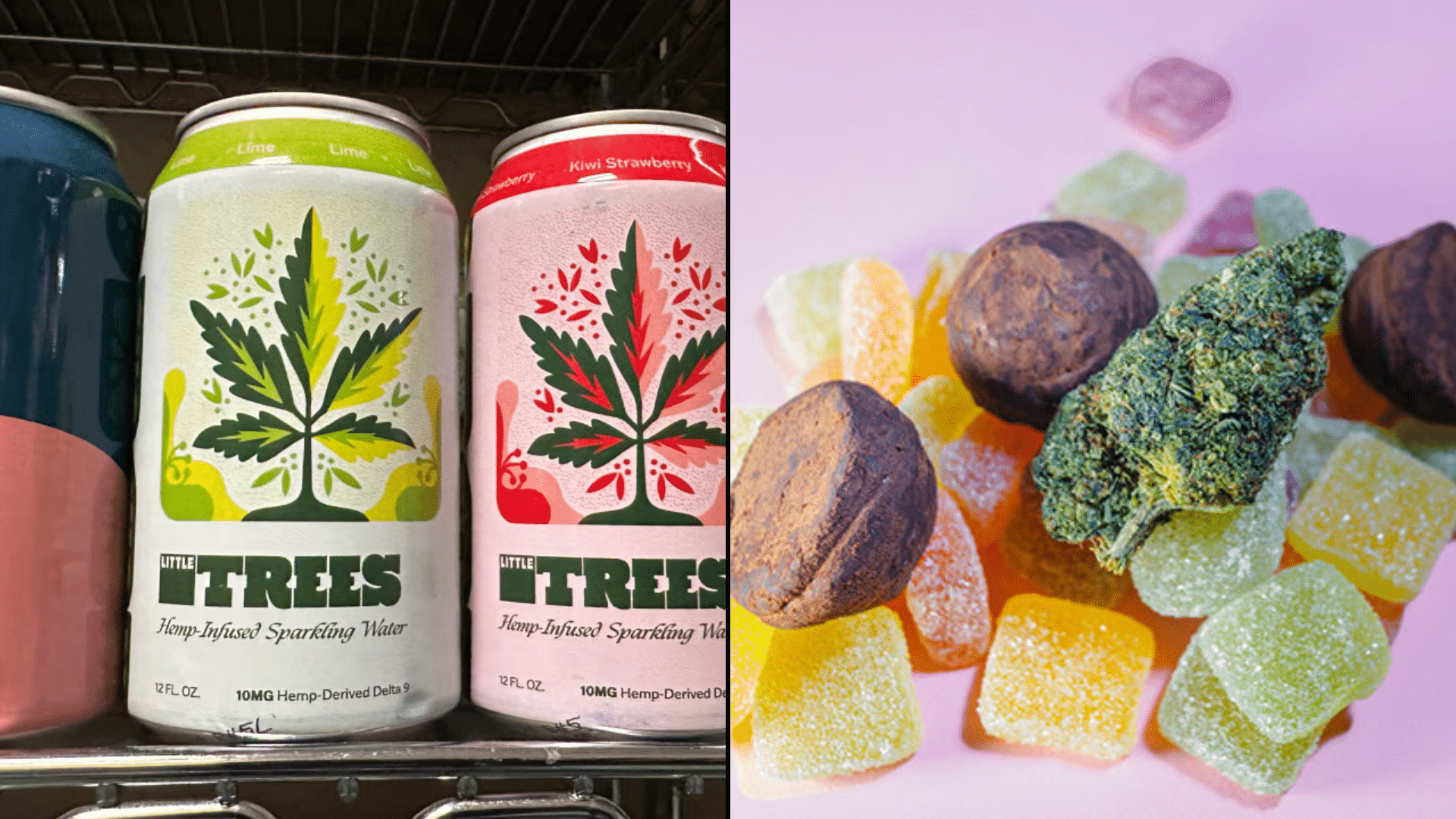 thc-drinks-vs-edibles-key-differences-effects-and-how-to-choose