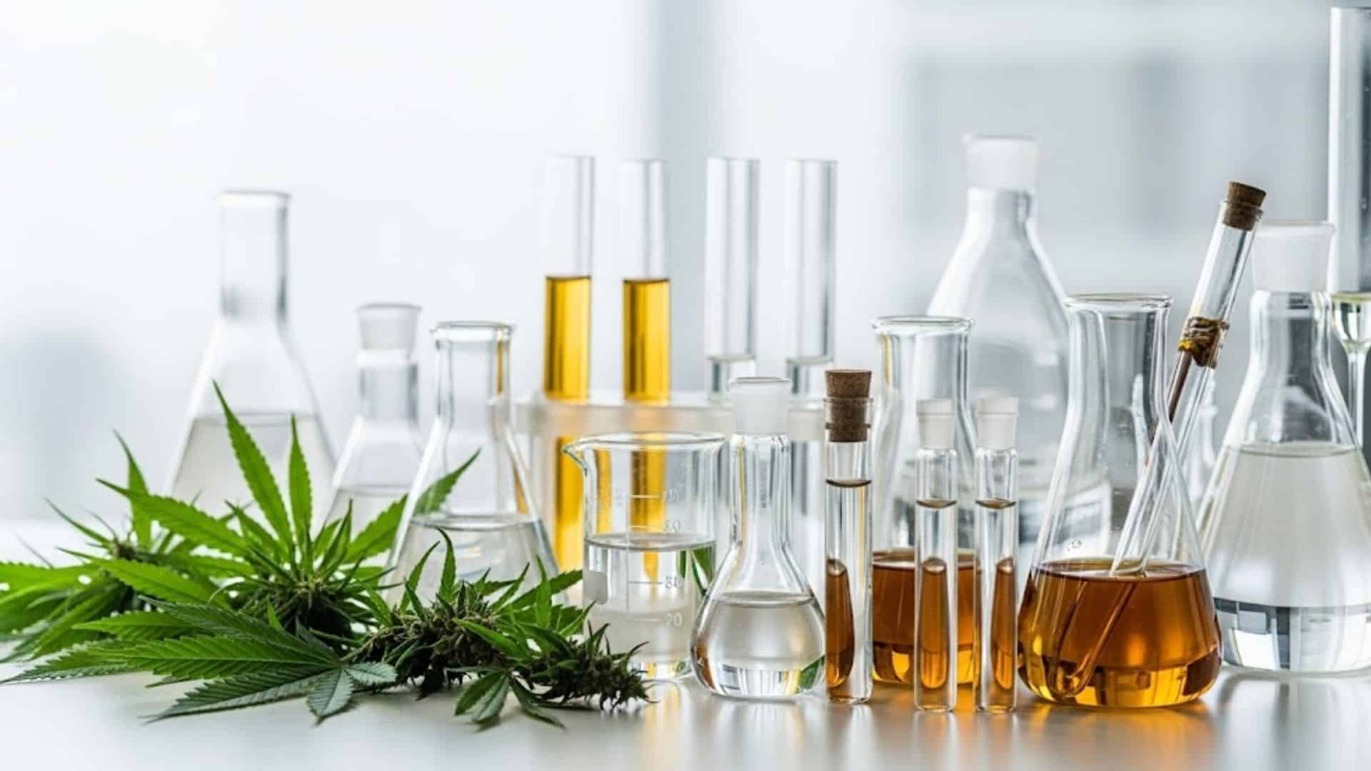 the-implications-of-cbd-extraction-methods