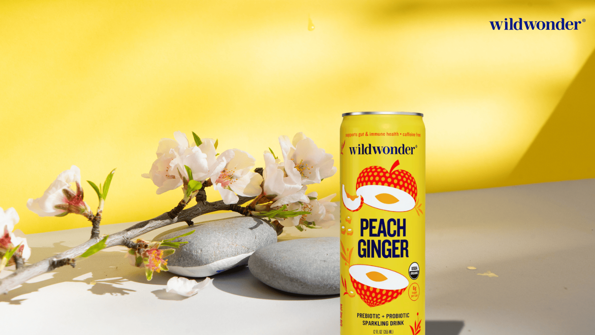 wildwonder-functional-elixirs