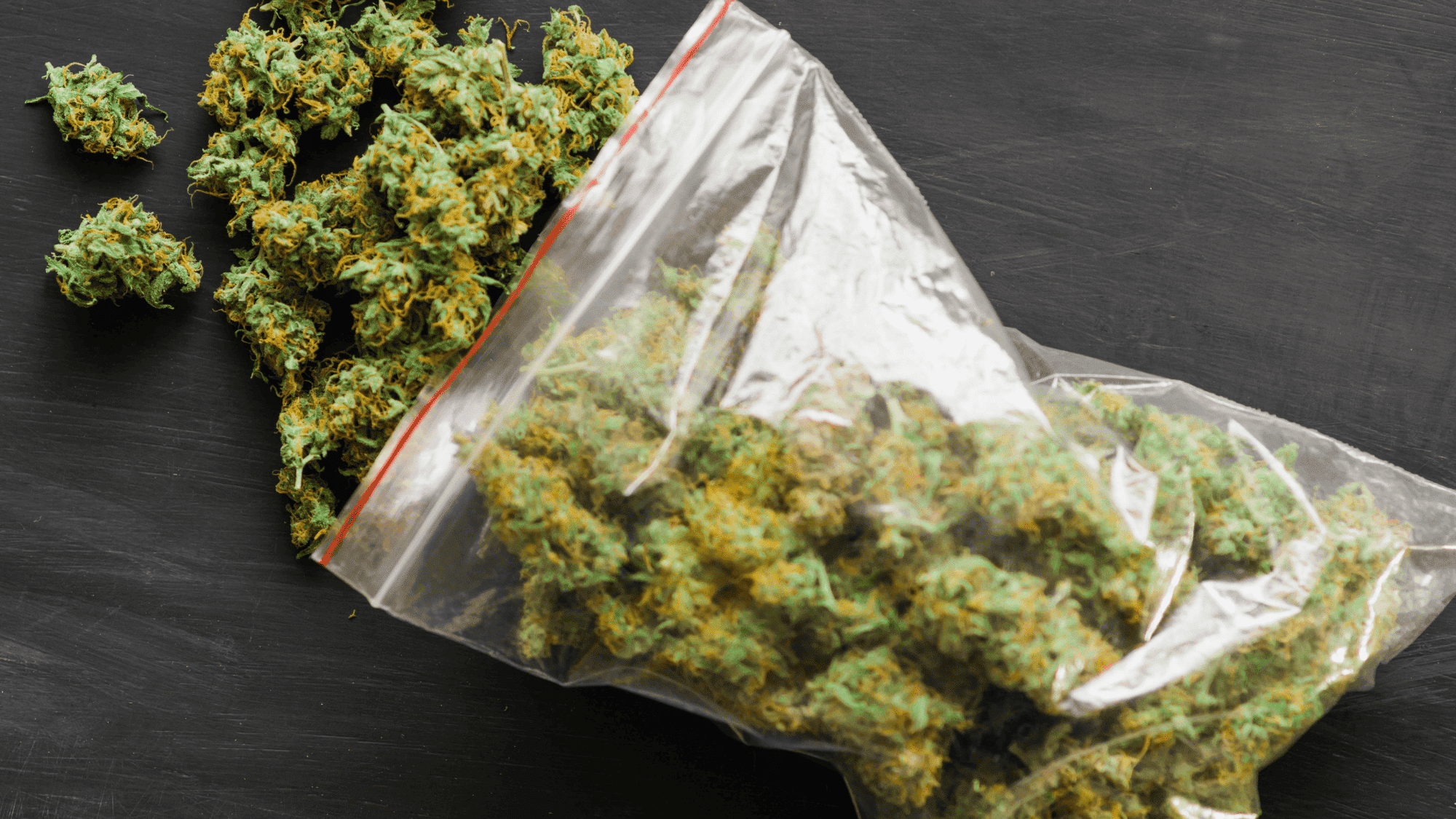 balanced thc cbd strains mild euphoria with calm