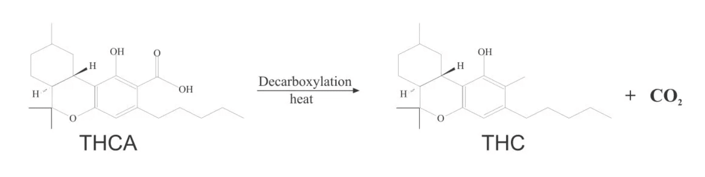 decarboxylation