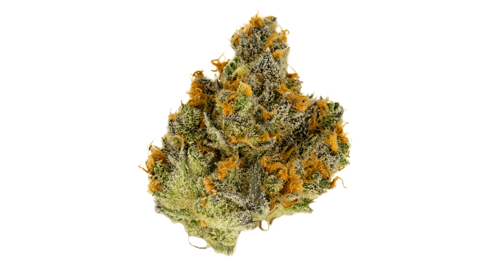 pennywise low thc strain