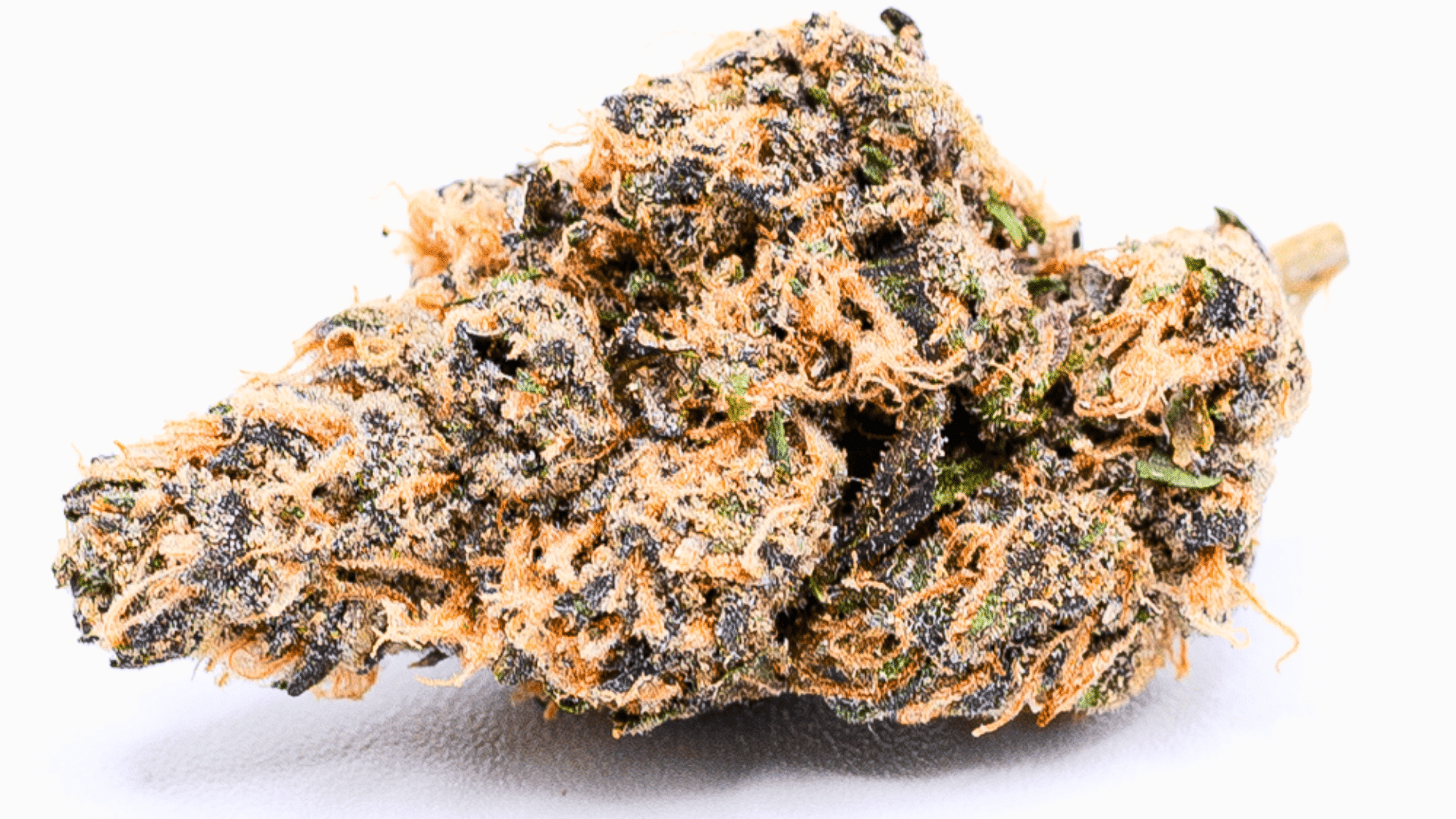 Red Velvet Weed Strain: Flavor, Effects and Genetics