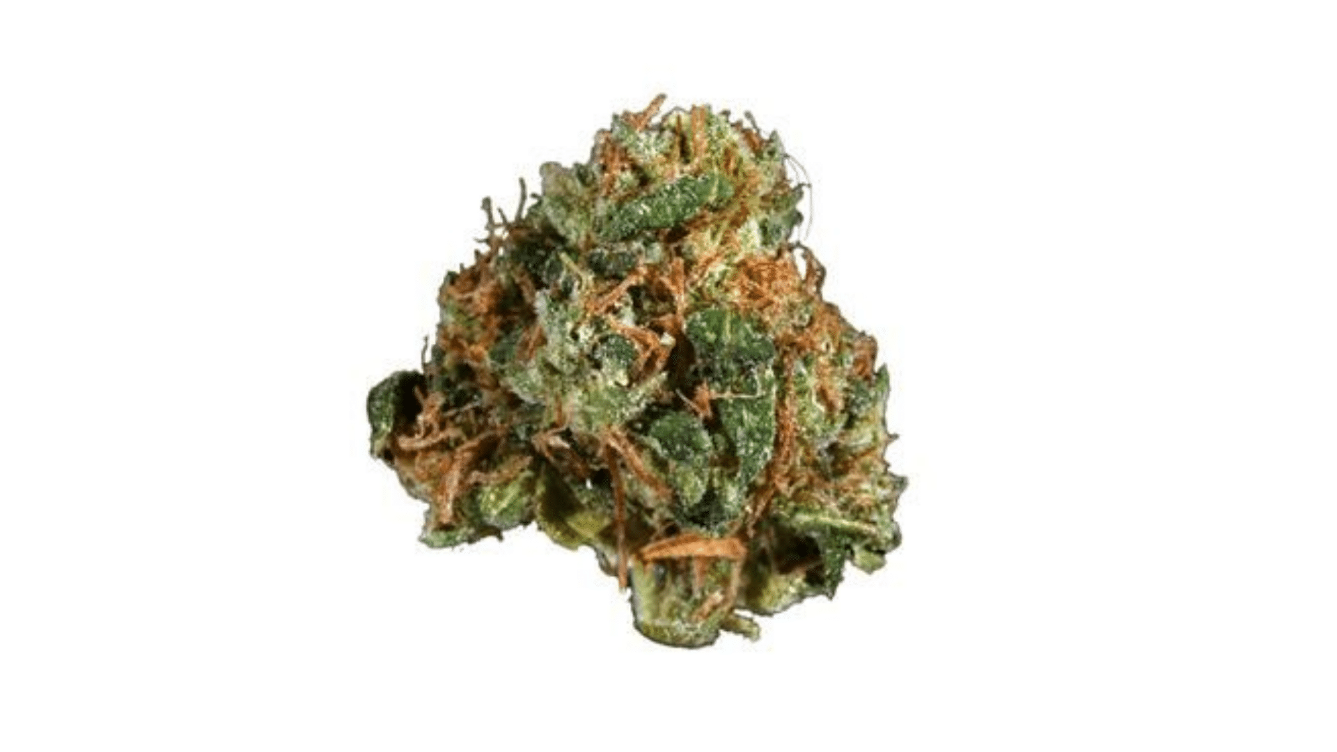 startonic low thc strain