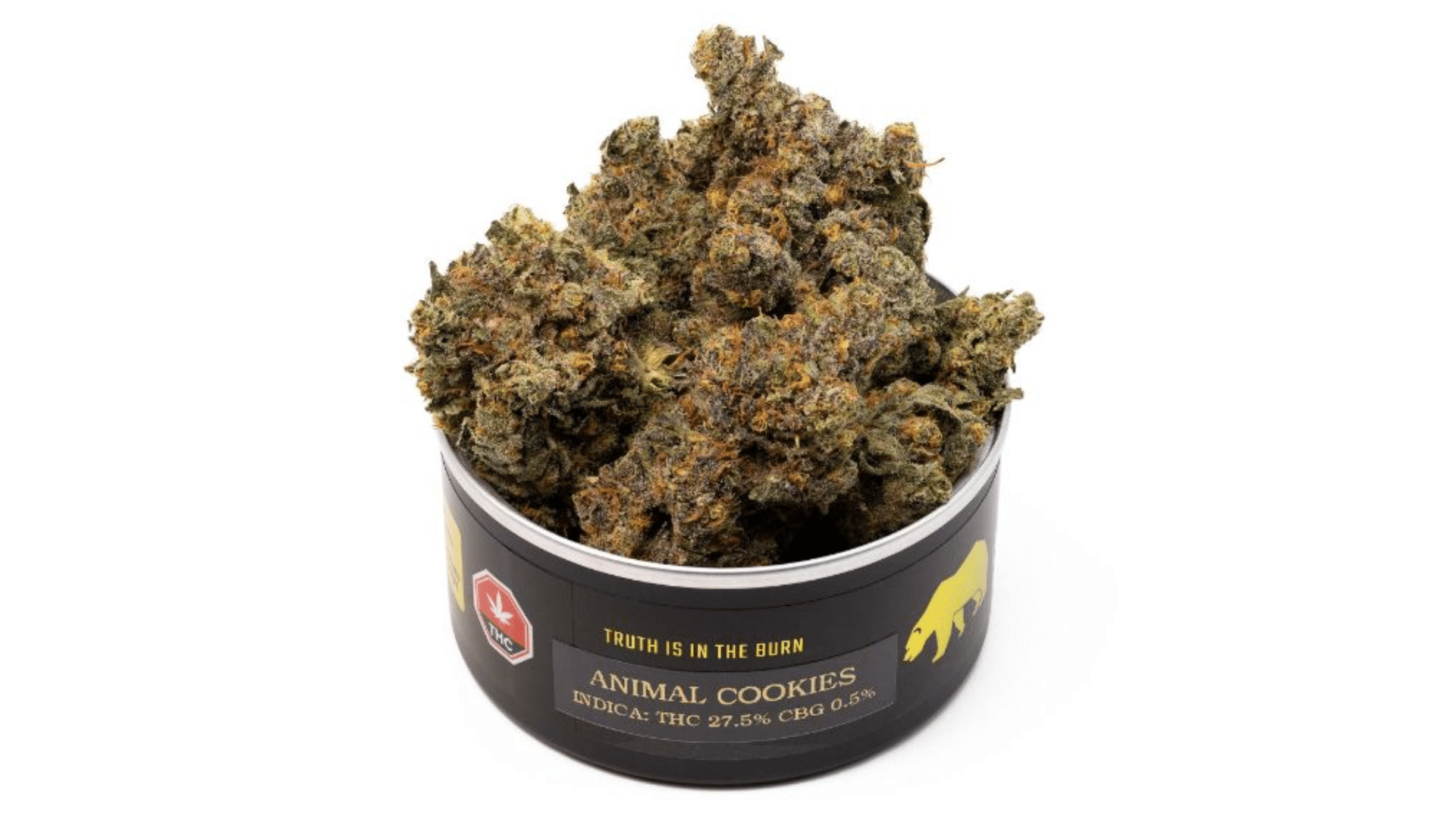 what is the animal strain