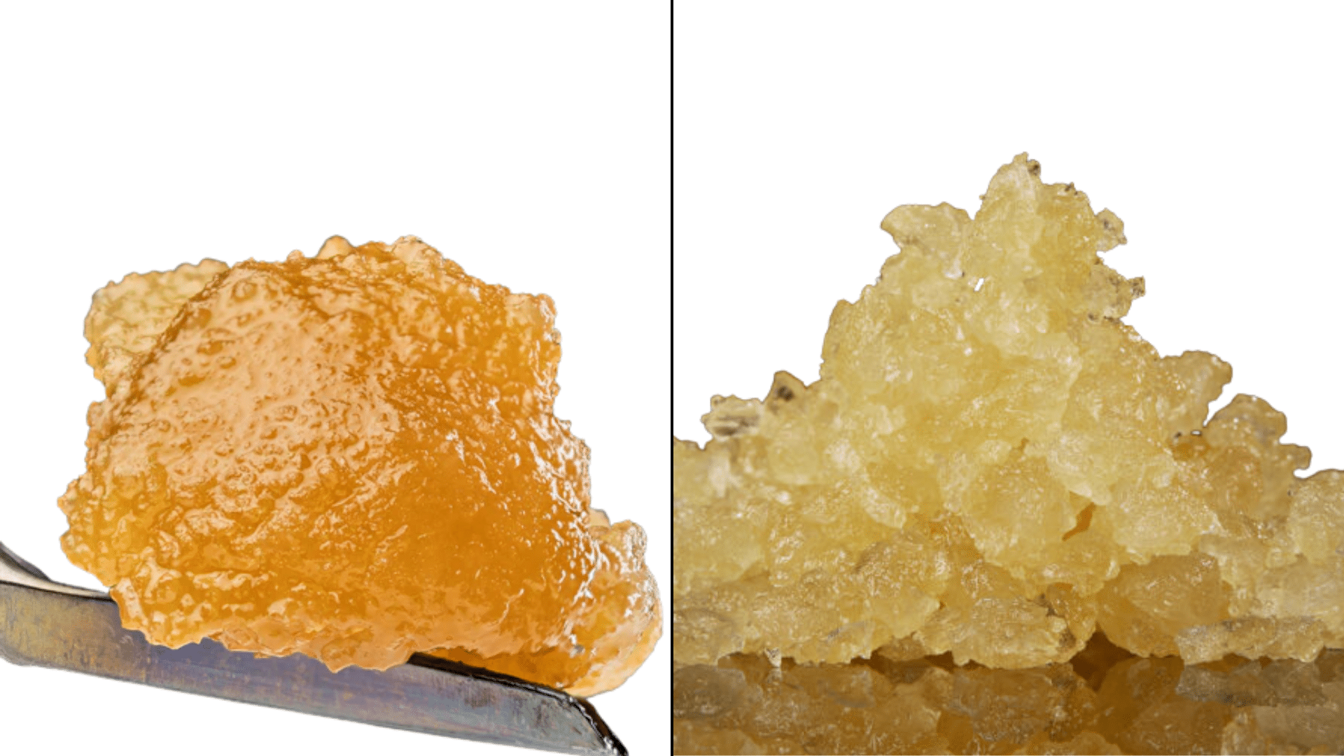 cured resin vs live resin